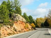 PA254442~2