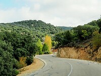 PA254443~2