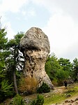 PA254458~2