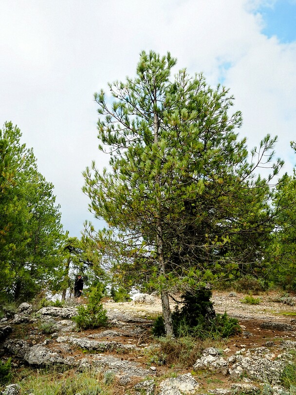 PA254463~2