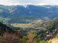 PA264529~2