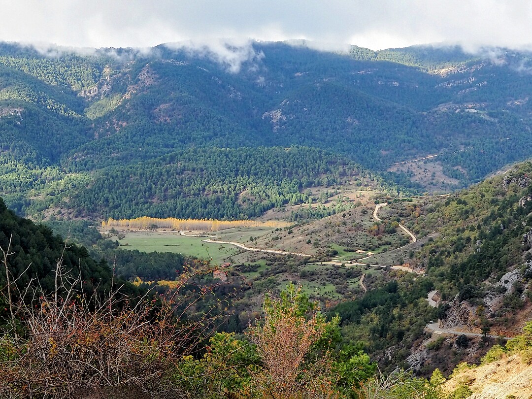 PA264529~2