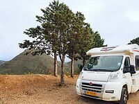 PA274684~2