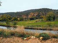 PA274656~2