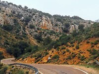 PA274654~2