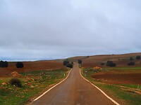 PA274644~2
