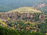 PA274622~2