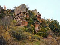 PA274615~2