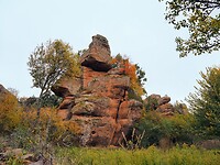 PA274611~2