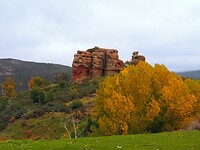 PA274609~2
