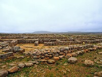 PA294854~2