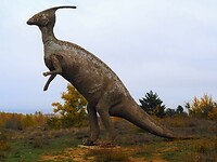 PA294820~2