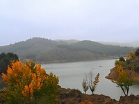 PA294811~3