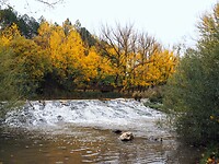 PA304908~2