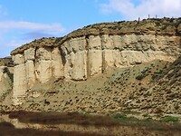 PA314945~2