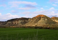 PA314947~2