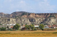 PA314948~2