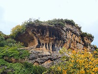 PA314981~2