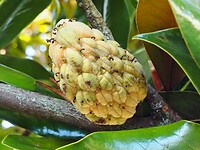 PB035323~2