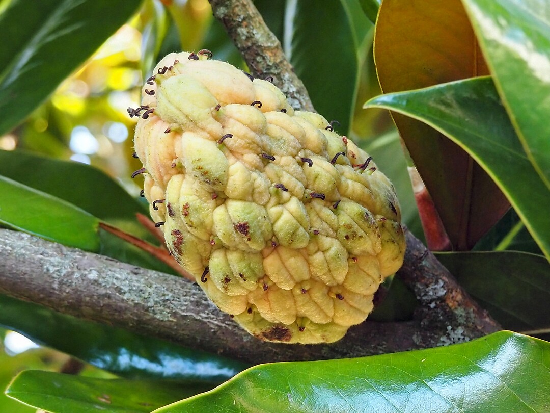 PB035323~2
