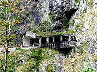 PA061162~2