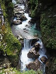PA061155~2