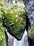 PA061153~2