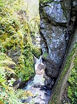 PA061152~2