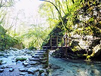 PA071206~2
