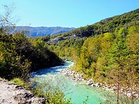PA071184~2
