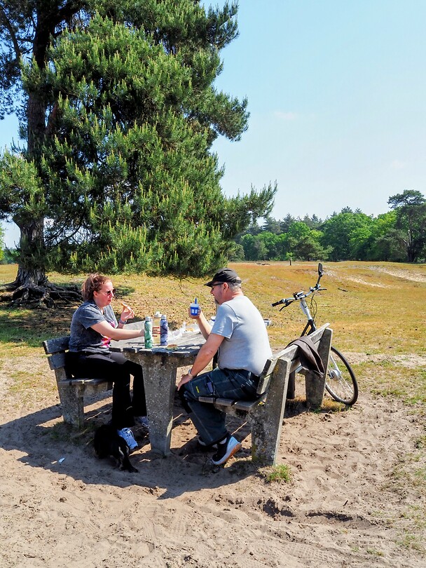 Picknick
