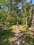 Fietstocht door bos