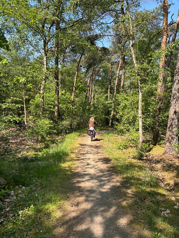Fietstocht door bos