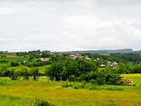 Uitzicht vanuit de fruitboomgaard