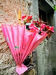 Bloempot