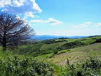Toscane