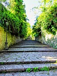 Trappen