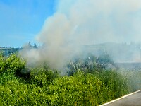Brand