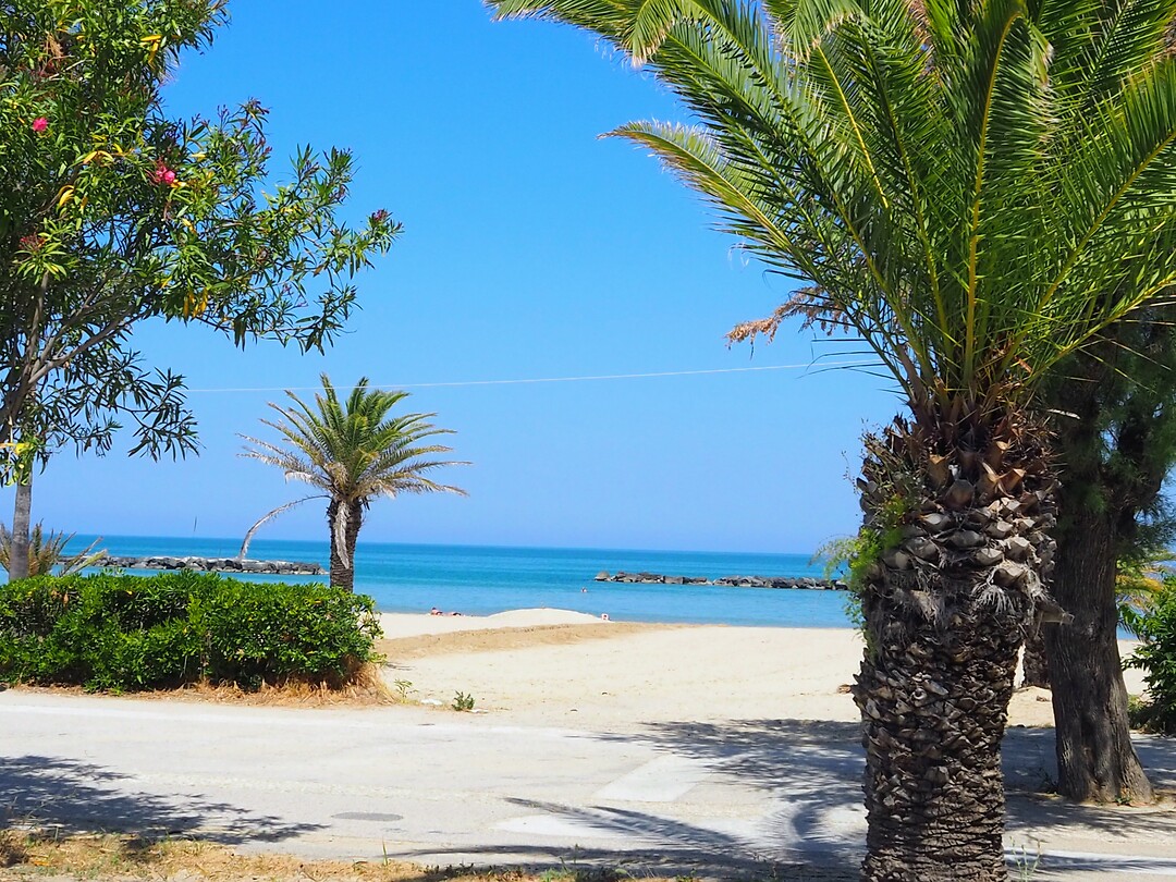 Strand