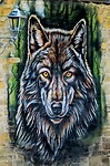 Wolf muurschildering