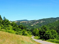 Dal
