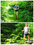 Door bossen en over bruggetjes
