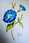 Aquarel geschilderd door Cor