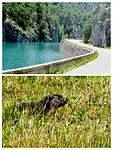 Meer in Frans dal en marmot