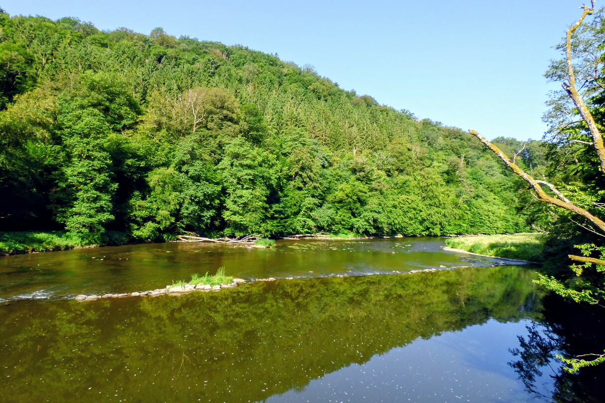 Rivier Semois