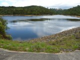 cossey's dam