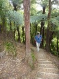 de 317 trappen omhoog