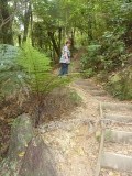 de trappen