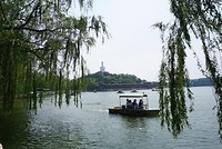 DSC03243