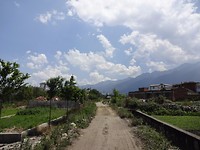 DSC01576_1